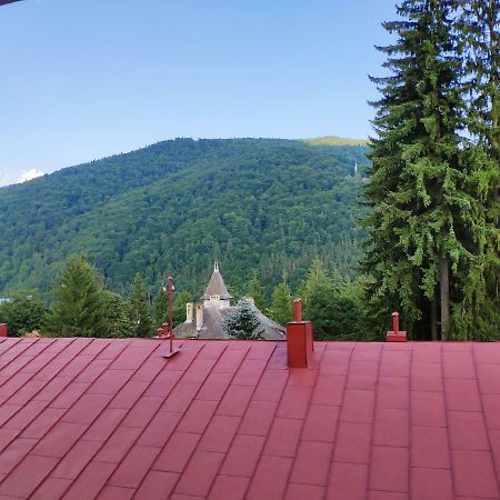 Cozy Loft At Teleferic Apartment Sinaia Exterior photo