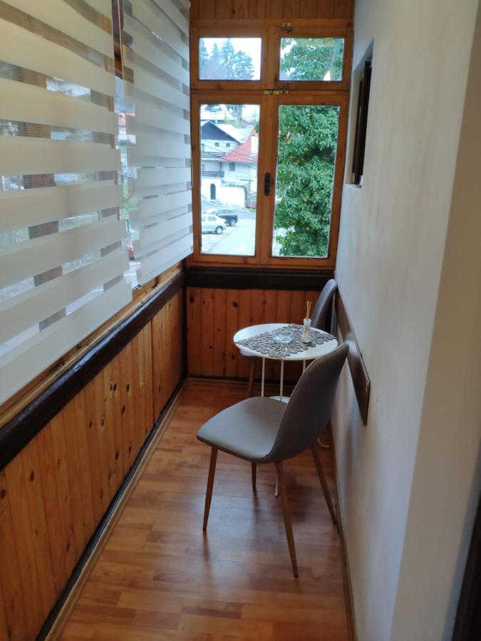 Cozy Loft At Teleferic Apartment Sinaia Exterior photo